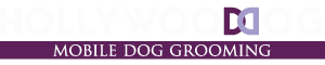Hollywood Dog