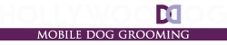 Hollywood Dog